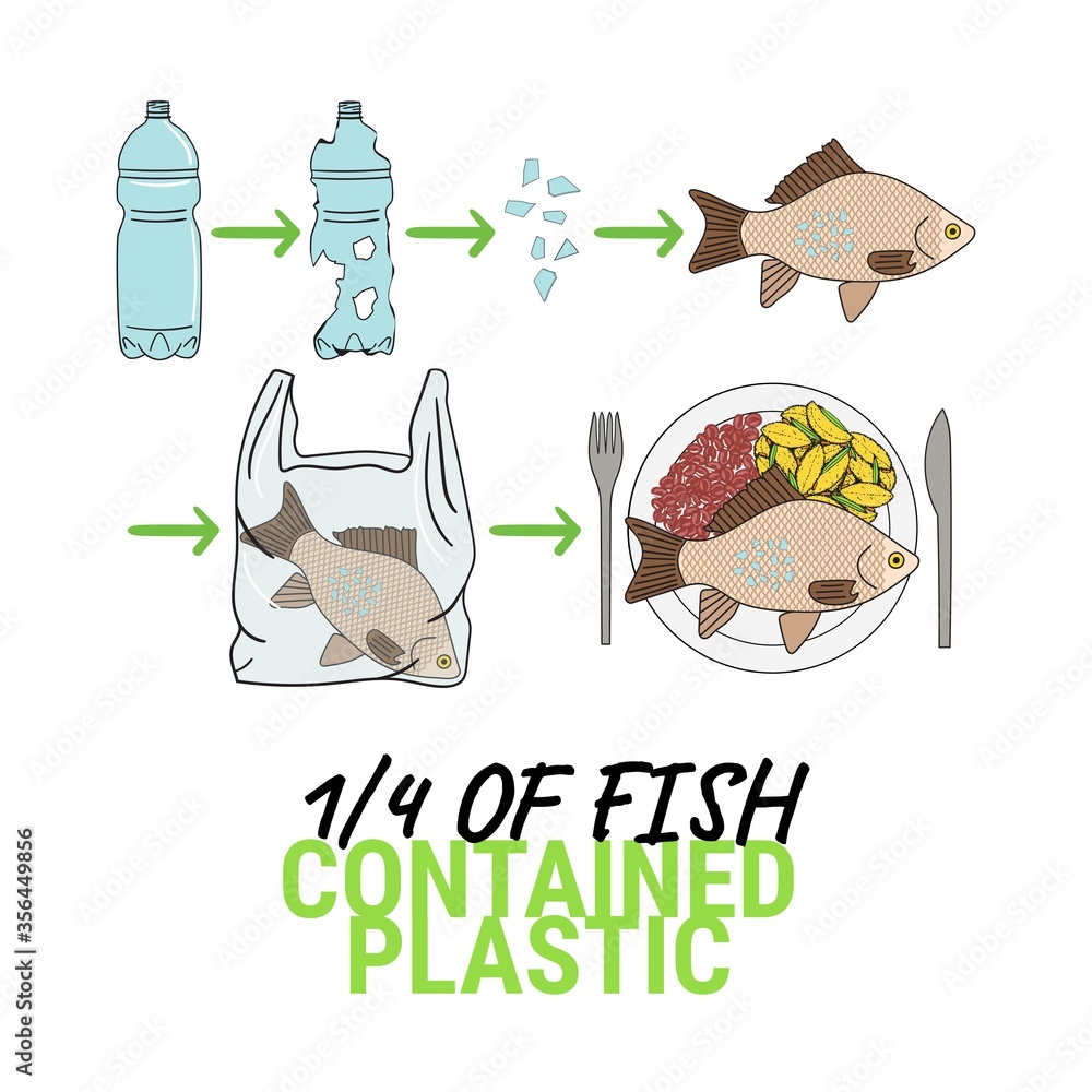 Infographic of fish with microplastics on the plate Stock Vector