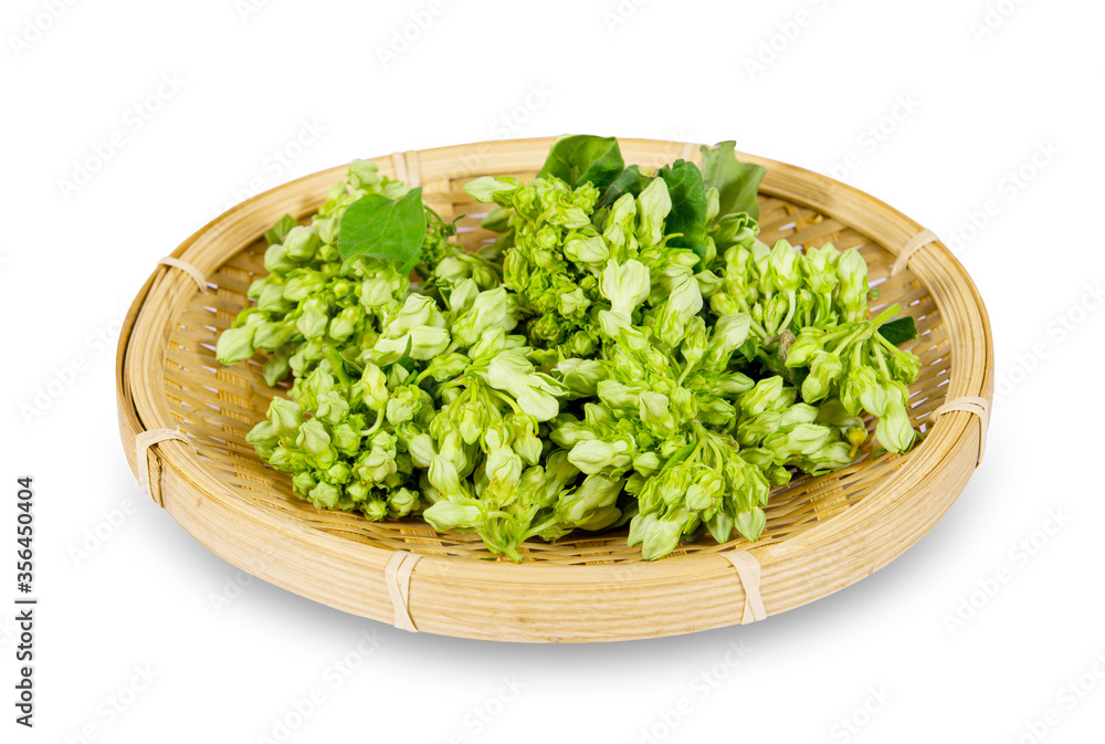 Cowslip creeper in wooden dish isolated on white background with clipping path Cowslip creeper in wooden dish isolated on white background with clipping path