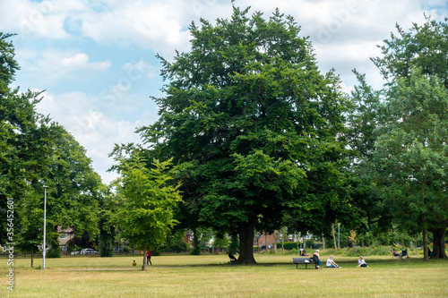 People sit in groups underneath trees in Prospect Park, Reading, UK