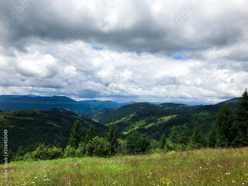 Ukrainian mountains Karpaty with cloudy sky and green trees © spass
