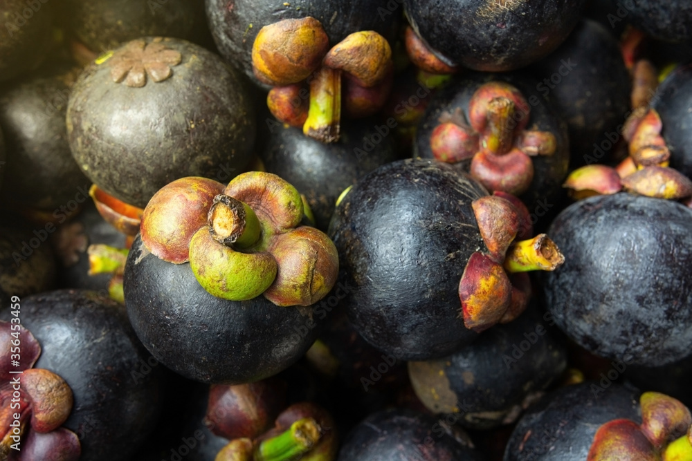 Fresh ripe mangosteen. Queen of fruit in Thailand Fresh ripe mangosteen. Queen of fruit in Thailand