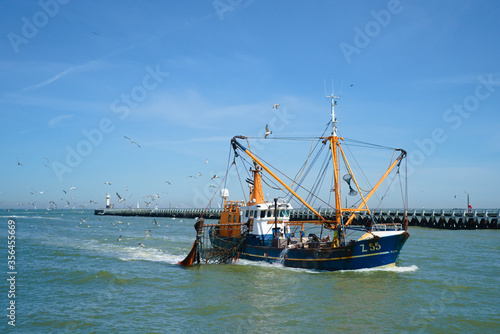 Fishing boat coming back from a trip at sea with a lot of fish in the back heading into the port of Nieuwpoort in Belgium while followed by a group of seagulls