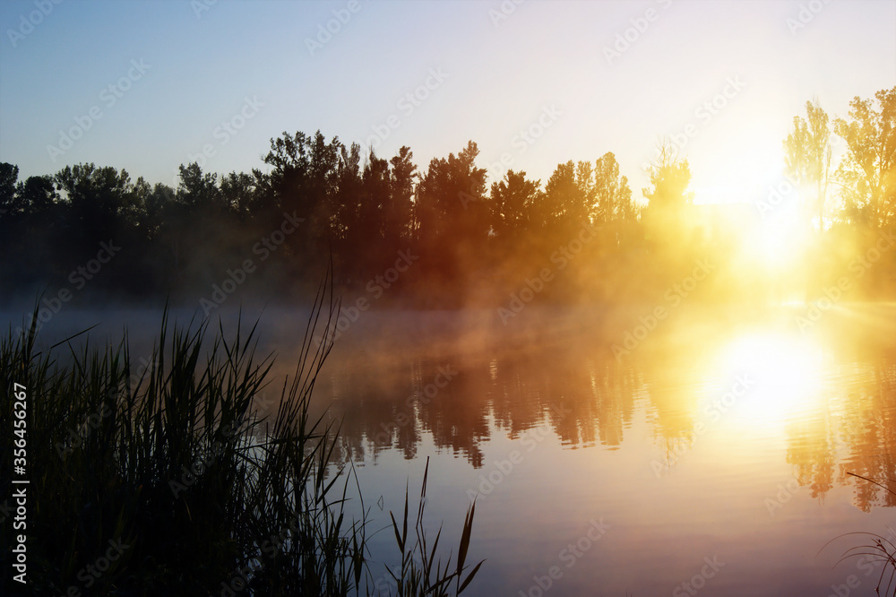Fototapeta premium Beautiful morning by the lake in a fog of fog.