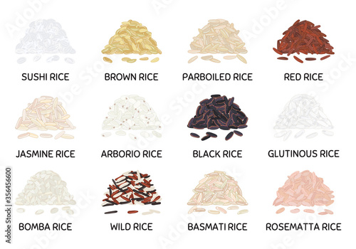 Set of hand drawn vector handful of rice photo