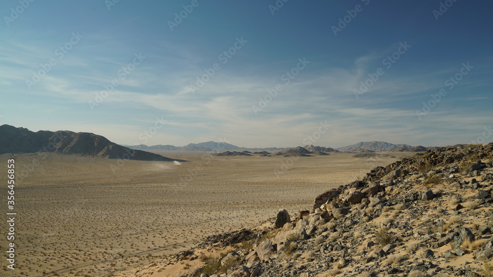 Desert Landscape