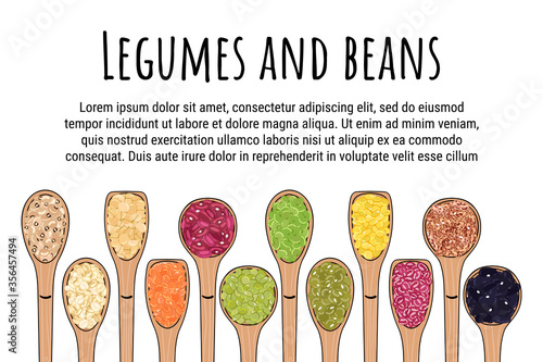 Set of spoons with beans and legumes