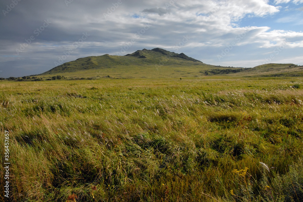 Steppe landscape. Outskirts of Khasan town. Primorsky Krai (Primorye), Far East, Russia.