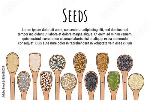 Set of spoons with seeds. Top view. Border food frame.