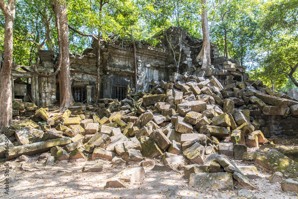 Beng Mealea temple ruins and banyan tree, the Angkor Wat style located east of the main group of temples at Angkor, Siem Reap, Cambodia. Beng Mealea temple ruins and banyan tree, the Angkor Wat style located east of the main group of temples at Angkor, Siem Reap, Cambodia.