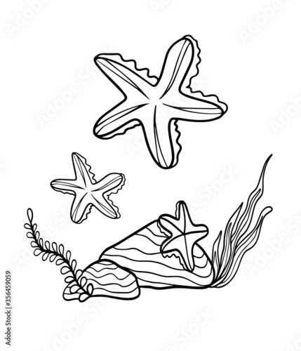 starfish book coloring graphic isolate on white background vector doodle sketch outline for kids print