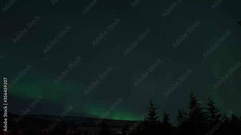 aurora borealis on night sky over spruce trees, timelapse aurora borealis on night sky over spruce trees, timelapse