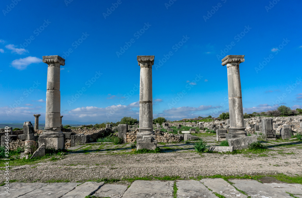 Volubilis - Ancient 3rd Century BC Roman ruins near city of Meknes in Morocco, UNESCO Heritage site.