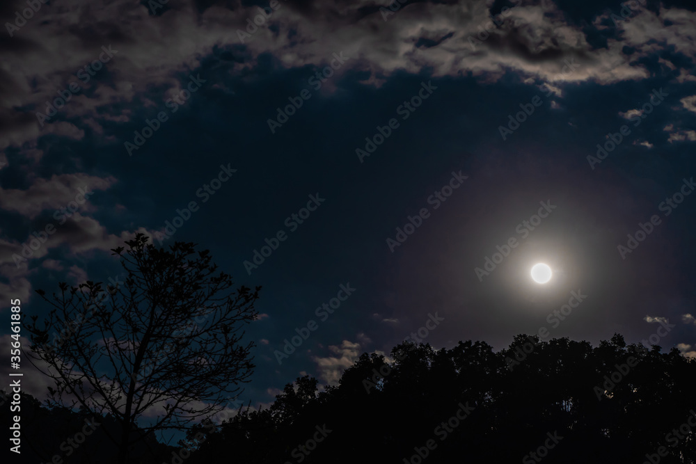 Moon and clound over the hill covered with jungle. Night shot. Stock photo. Moon and clound over the hill covered with jungle. Night shot. Stock photo.
