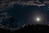 Moon and clound over the hill covered with jungle. Night shot. Stock photo.