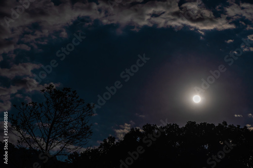Moon and clound over the hill covered with jungle. Night shot. Stock photo.