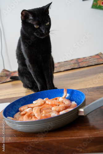 Black cat trying to eat or steal shrimp
