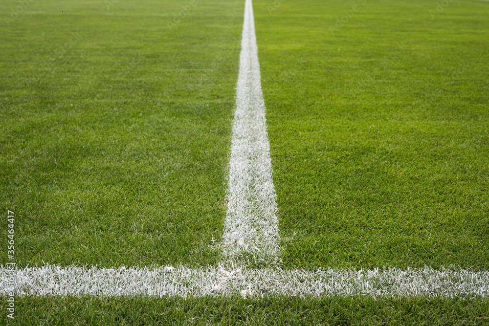 Lines on dthe grass at the sports ground