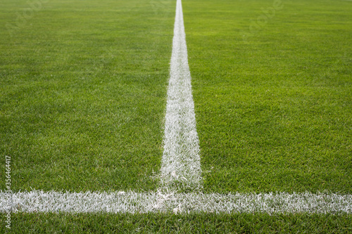 фотографія Lines on dthe grass at the sports ground