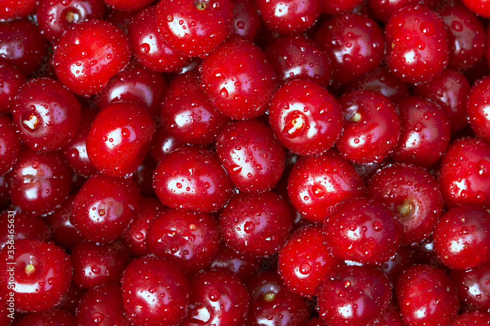 Fresh sweet cherries with drops of water. Macro image. Fresh sweet cherries with drops of water. Macro image.