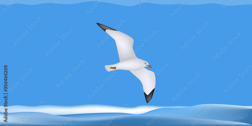 Obraz premium Seascape, seagull closeup, surf - blue background - vector. Tourist banner. Travel.