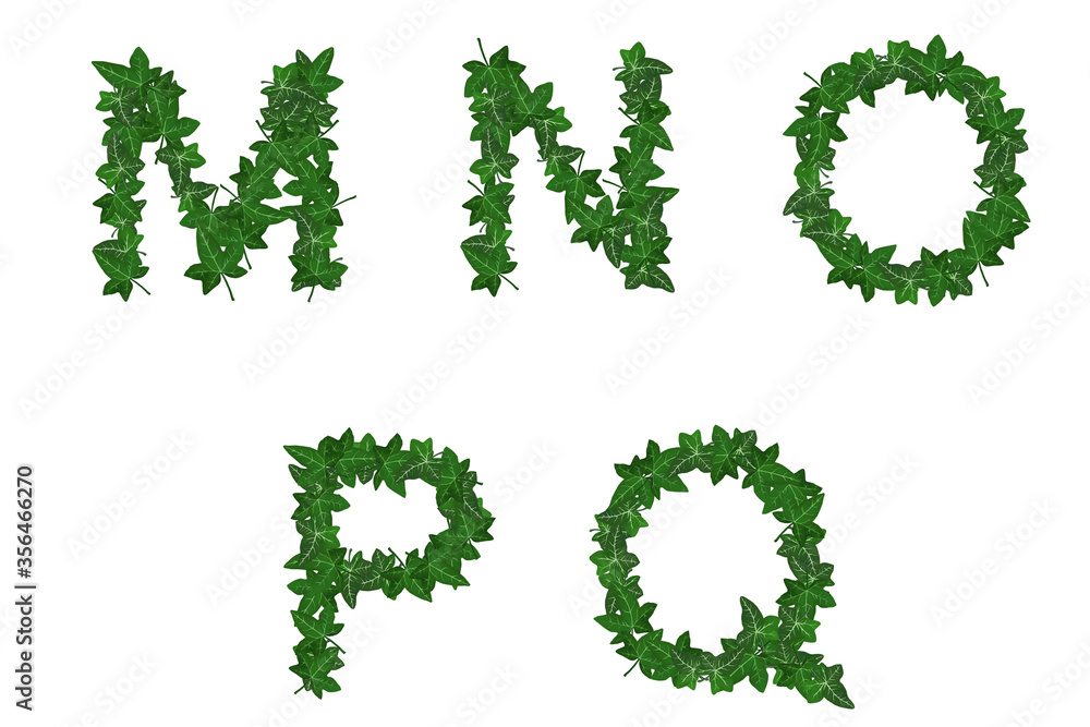 Bright leaves alphabet. Green summer abc on white background. Part 3 Bright leaves alphabet. Green summer abc on white background. Part 3