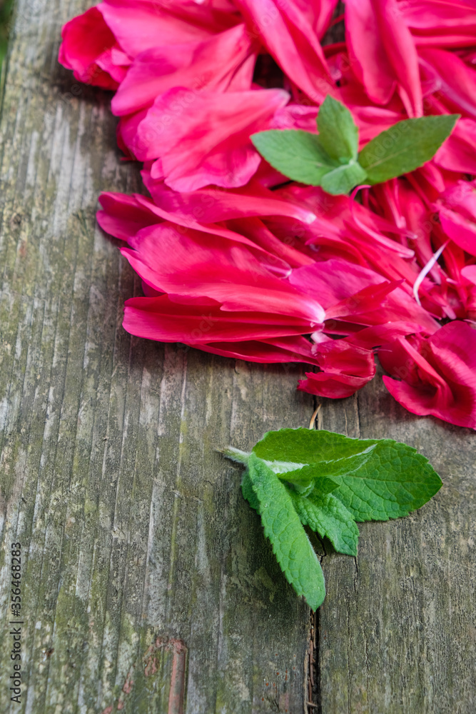 Fresh mint and peony petals on an old wooden surface. Copy space. Vertical image.