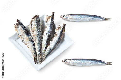 Anchovy - 