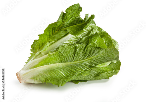 Wallpaper Mural fresh roman lettuce on a white background Lattuga Romana Lactuca sativa Torontodigital.ca