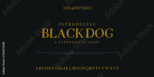 Elegant awesome alphabet Classic Lettering Typography fonts. vector illustration