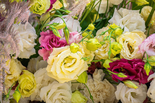 Eustoma flowers close-up blurred background photo