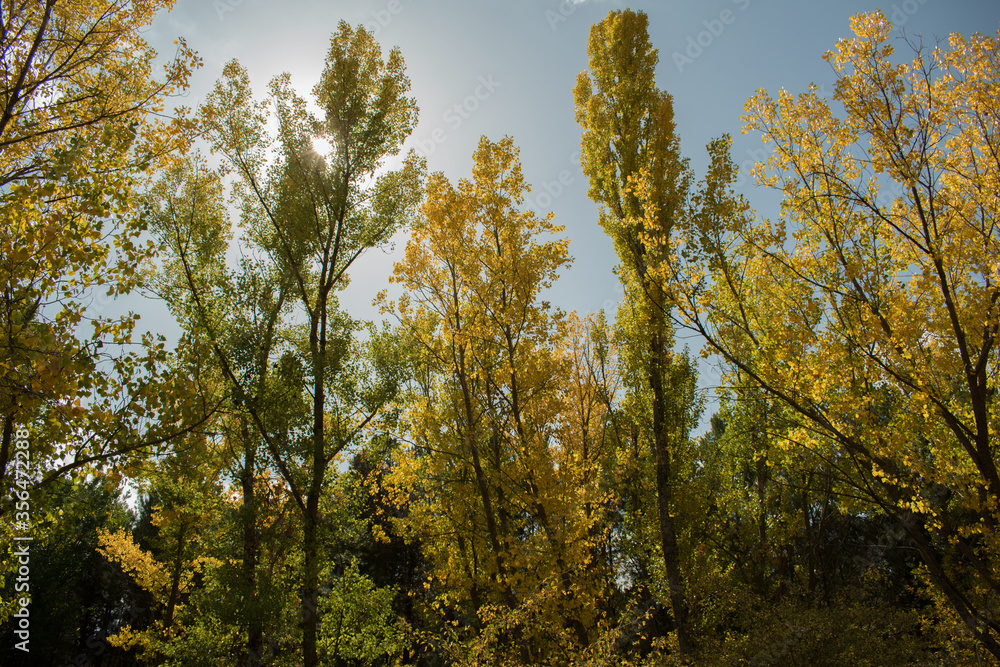 Autumn in Cuenca - Spain Autumn in Cuenca - Spain