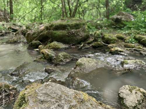 Forest stream with a waterfall among gray stones. On the stones are yellow and green moss and lichens. Around trees and plants with green leaves and grass with yellow flowers. Saharna- Moldova
