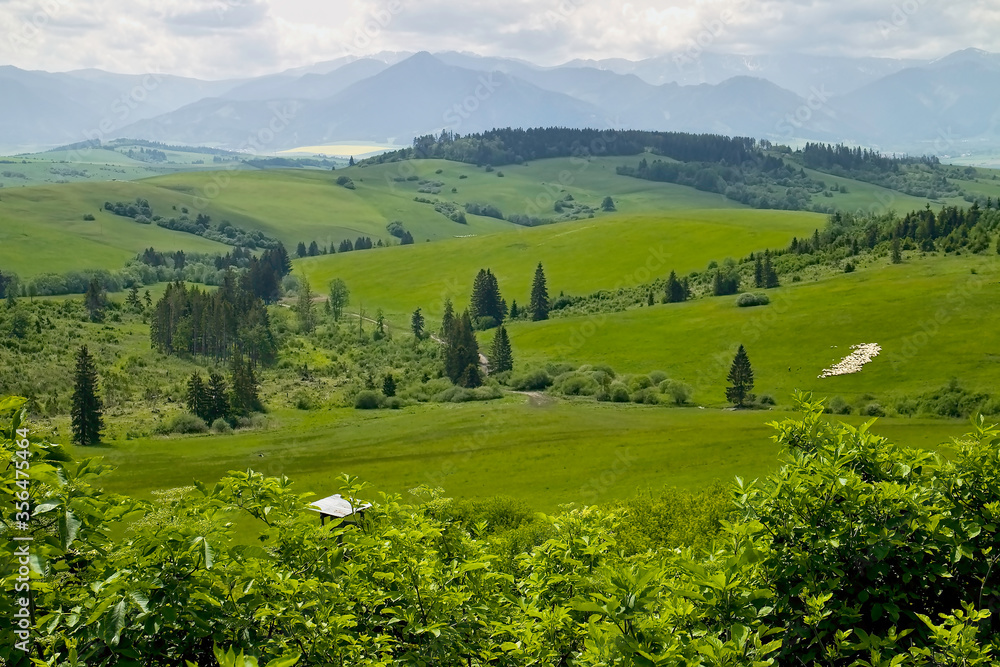Beautiful surrounding nature near the Pastierska mountain hut in the Bobrovecka valley in Liptov.