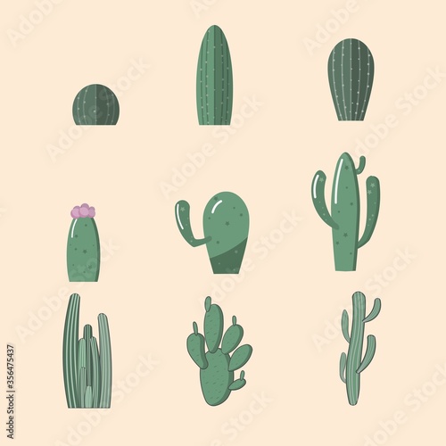 Set of cactus vector. Cactus clip art. Green botanical graphic clipart. Vector illustration
