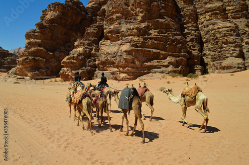 Camel caravan in the Wadi Rum Desert, Jordan © Gustavo Sclowitz