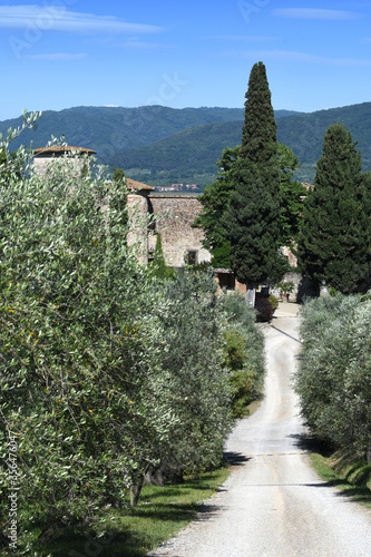 Typical Tuscan landscape in Chianti region with Olive trees and white gravel road. Tuscany, Italy. photo