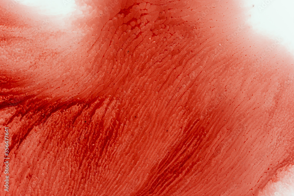 Fototapeta premium Colorful abstract painting. High resolution picture. ink color mixing. close up texture
