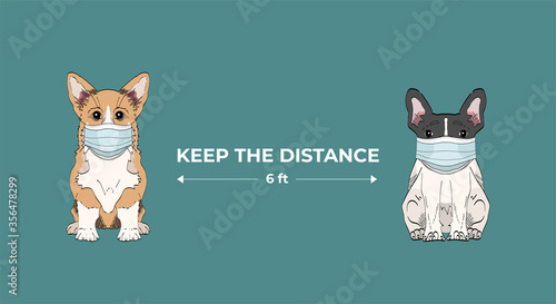 Keep safe distance two meters or six feets.  Coronavirus infection spreading prevention information sign with cute hand drawn dogs in medical masks on blue background. Welsh corgi and french bulldog