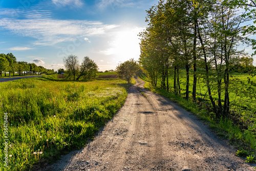 View of a country road outside the city. An image of a road at sunset among fields. photo