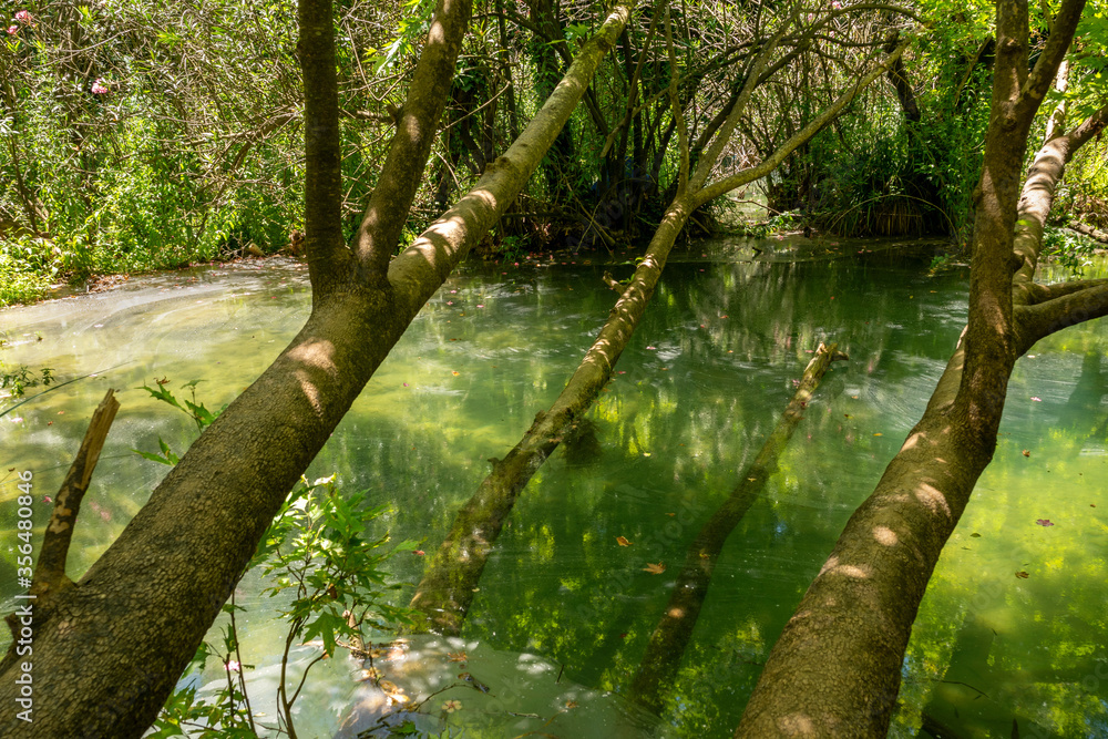 Kursunlu waterfall is one of the most attractive landscapes in terms of lush plants and small or big various picnic areas in Antalya. Kursunlu waterfall is one of the most attractive landscapes in terms of lush plants and small or big various picnic areas in Antalya.