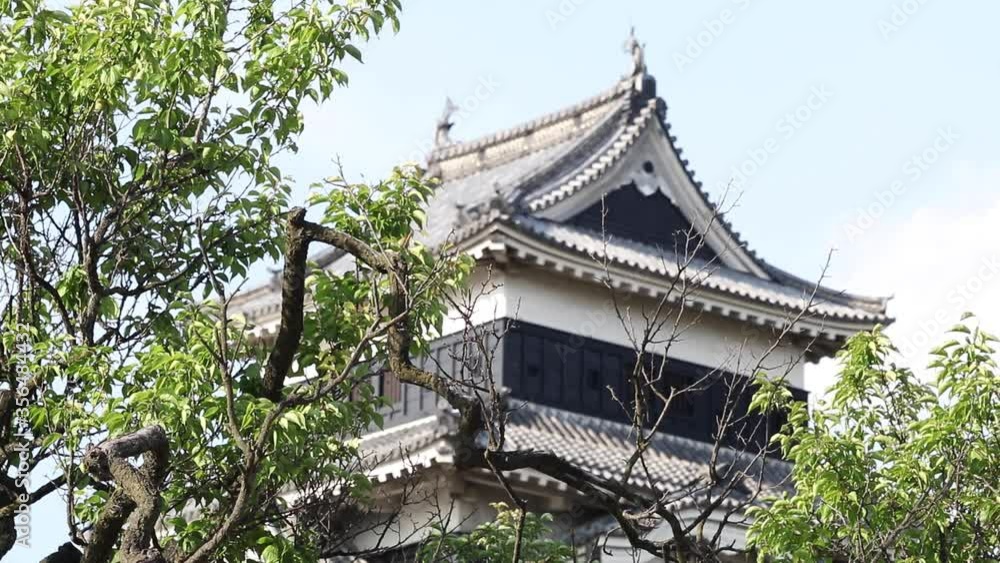Castle park in Japan. Matsumoto Nagano Castle park in Japan. Matsumoto Nagano