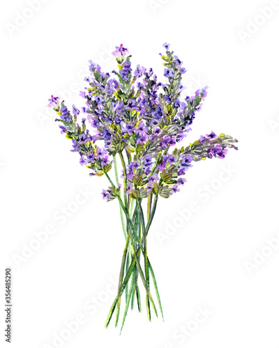 Fototapeta Naklejka Na Ścianę i Meble -  Lavender flowers bouquet. Watercolor floral botanical illustration