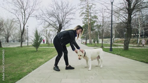 Wallpaper Mural Retriever labrador happy dog with woman playing in park outdoors Torontodigital.ca