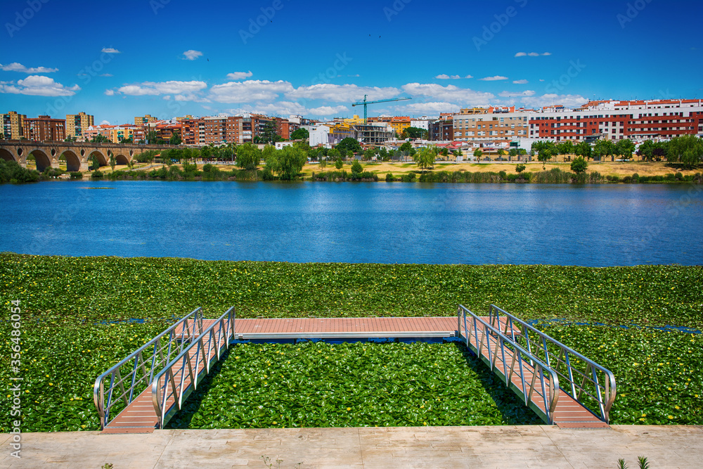 Fototapeta premium Guadiana river landscape with old bridge and jetty. Trips to Extremadura. The Guadiana river covered with a blanket of water lilies, an aquatic plant with yellow flowers.