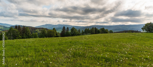 Springtime mountain meadow with trees and hills on the background above Bela pod Pradedm village in Jeseniky mountaiins in Czech republic