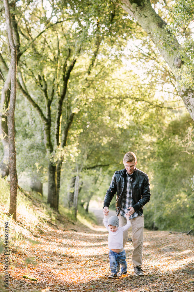 Toddler boy and young father walking on a hiking trail holding hands Toddler boy and young father walking on a hiking trail holding hands