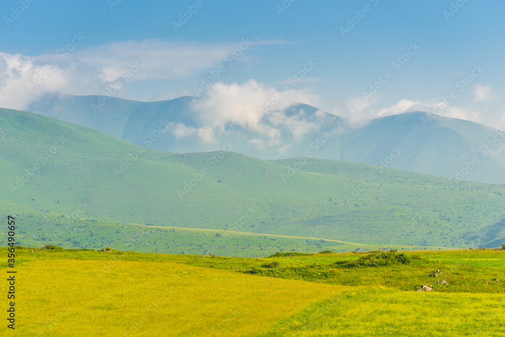 Succulent grassland meadows on a summer June day, Armenian mountains