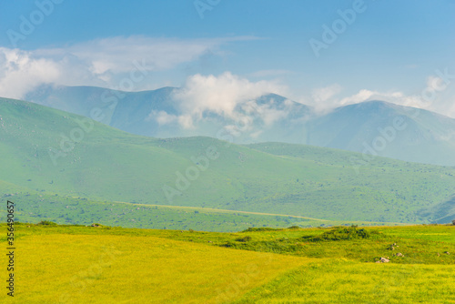 Succulent grassland meadows on a summer June day, Armenian mountains © kosmos111