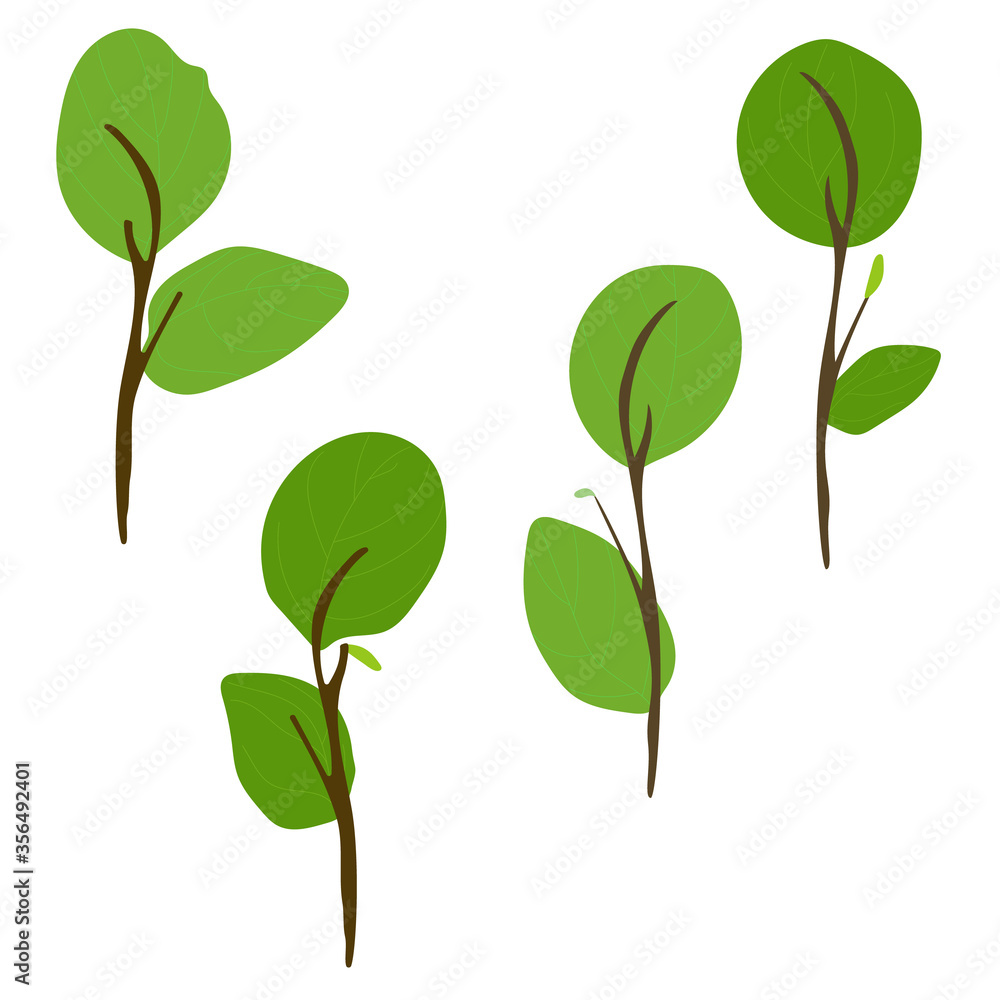 Isolated green leaves and branches on a white background
Isolated green leaves and branches on a white background