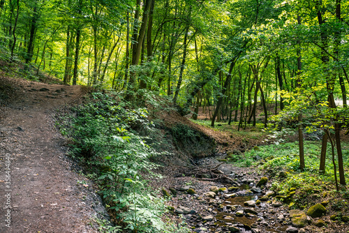 Ram-szakadek, Ram Ravine or Ram Canyon near the village Dobogoko and Domos in Hungary, a very popular and beautiful hiking, trekking trail and tourist attraction